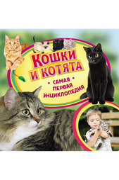 Кошки и котята Росмэн