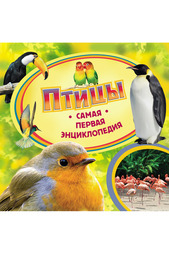 Птицы Росмэн