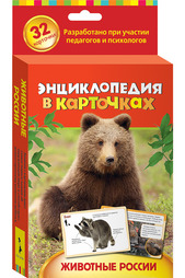 Энциклопедия в карточках Росмэн