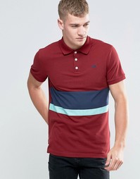 Трикотажное поло с логотипом Hollister - Burgundy