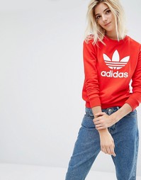 Свитшот с логотипом-трилистником Adidas Originals - Ярко-красный