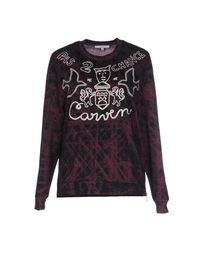 Толстовка Carven