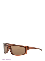 Солнцезащитные очки Vittorio Richi