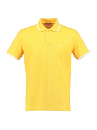 Поло Andrea Fenzi