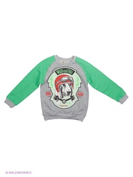 Толстовки M&amp;DCollection