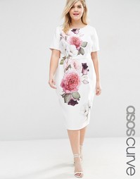 Платье-футляр с принтом роз ASOS CURVE - Принт