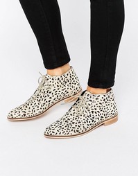 Кожаные туфли на плоской подошве ASOS MARLS - Leopard