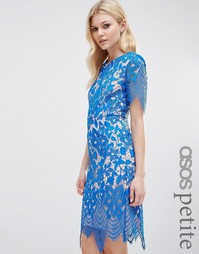 Облегающее платье-футляр с кружевной отделкой ASOS PETITE - Синий