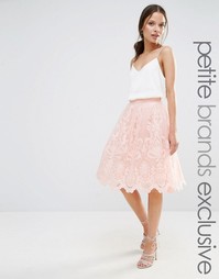 Пышная юбка миди из премиального кружева Chi Chi London Petite - Blush