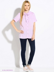 Рубашки U.S. Polo Assn.