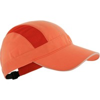Бейсболка Forclaz 100 Quechua