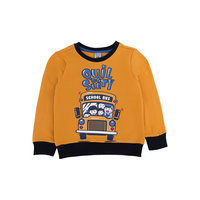 Джемпер для мальчика SELA