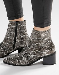 ASOS RASQUAL Pointed Ankle Boots - Snake