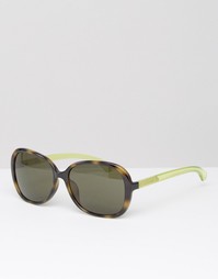 Большие солнцезащитные очки CK Jeans - Khaki tortoise Calvin Klein