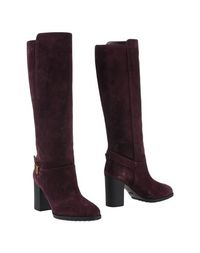 Сапоги Tods