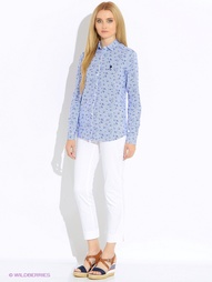 Рубашки U.S. Polo Assn.