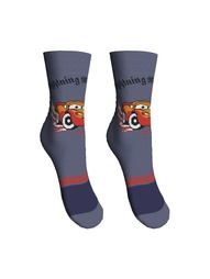 Носки Master Socks