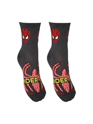 Носки Master Socks