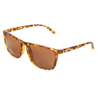 Очки DC Shoes Shades Matte Tortoise/Brown