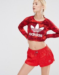 adidas Originals Floral Cropped Top With Trefoil Logo - Цветной