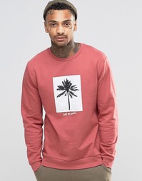 Свитшот с принтом пальмы ASOS - Розовый