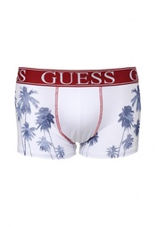 Трусы Guess