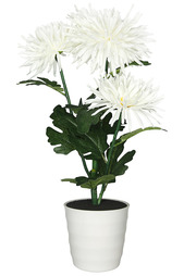 Светильник-ночник СТАРТ