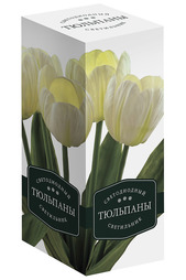 Светильник-ночник СТАРТ