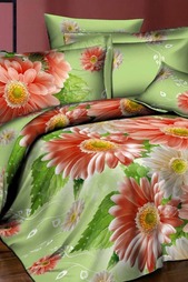 Постельное бельё 2 сп, 70х70 BegAl