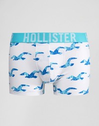 Классические боксеры-брифы с принтом Hollister - Белый