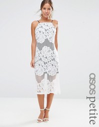 Кружевное платье с контрастной подкладкой ASOS PETITE - Белый