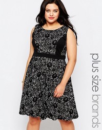 Короткое приталенное платье из кружева Lovedrobe Plus - Черный