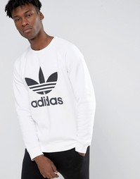 Свитшот с круглым вырезом и логотипом adidas Originals AY7794 - Белый