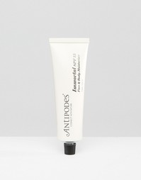 Увлажняющее средство с SPF15 Antipodes Immortal - Spf15 moisturiser