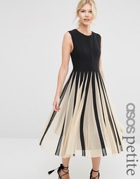 Приталенное платье миди со свободной юбкой из сеточки ASOS PETITE