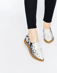 Туфли на плоской подошве с острым носком ASOS MANHATTAN - Snake
