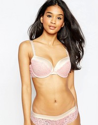 Бюстгальтер с плотными чашечками Evollove Dulce Candy, D-G