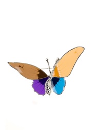 Броши Bijoux Land