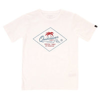 Футболка детская Quiksilver Clasteytvolcafr White