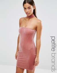 Бархатное облегающее платье с чокером Boohoo Petite - Mauve