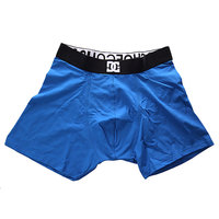 Трусы DC Woolsey Boxer Snorkel Blue