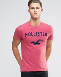 Футболка с принтом Hollister California Surfboards Hollister