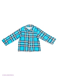 Рубашки Babycollection