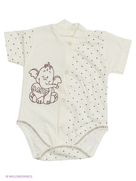 Боди Babycollection