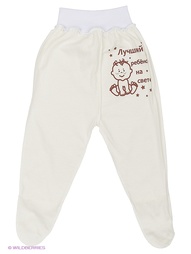 Ползунки Babycollection