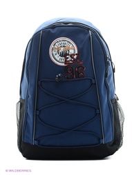 Рюкзаки Icepeak