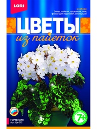 Наборы для поделок LORI