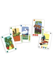 Настольные игры DJECO