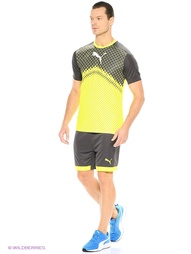 Шорты Puma