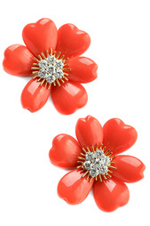 Серьги FRANSUA ARDY